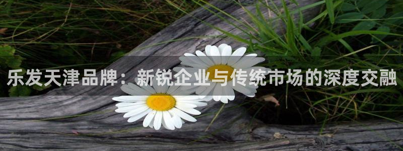 蓝狮娱乐体育网页版入口：乐发天津品牌：新锐企业与传统市场的深度交融