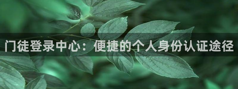 蓝狮娱乐游戏有哪些好玩的：门徒登录中心：便捷的个人身份认证途径