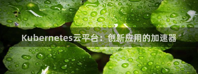 蓝狮娱乐体育官网登录：Kubernetes云平台：创新应用的加速器