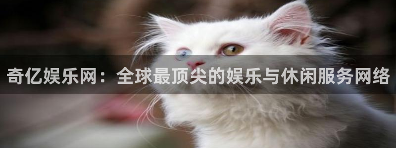 蓝狮娱乐体育老板是谁：奇亿娱乐网：全球最顶尖的娱乐与休闲服务网络