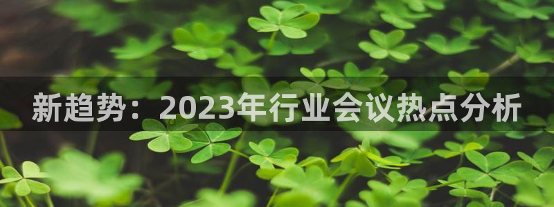 蓝狮娱乐2登录入口：新趋势：2023年行业会议热点分析