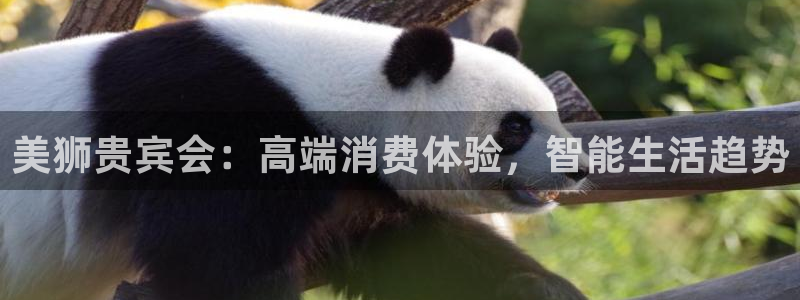 蓝狮娱乐官网：美狮贵宾会：高端消费体验，智能生活趋势