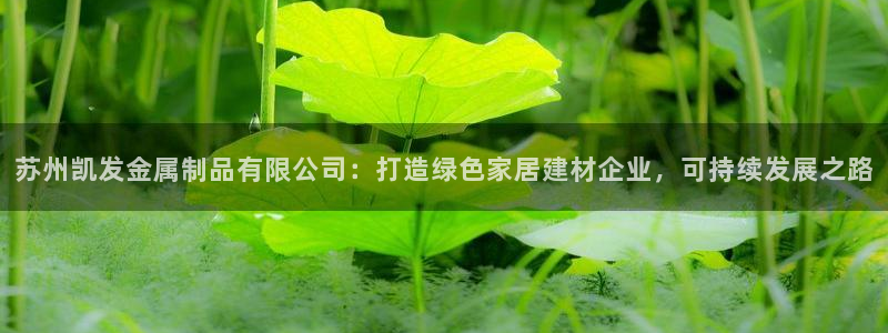 蓝狮娱乐官网：苏州凯发金属制品有限公司：打造绿色家居建材企业，可持续发展之路