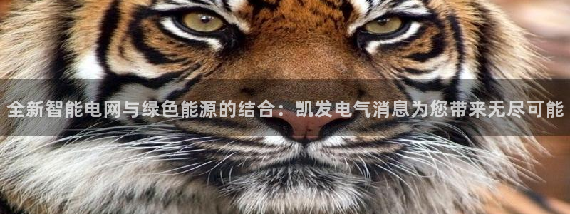 蓝狮娱乐网站平台登录：全新智能电网与绿色能源的结合：凯发电气消息为您带来无尽可能