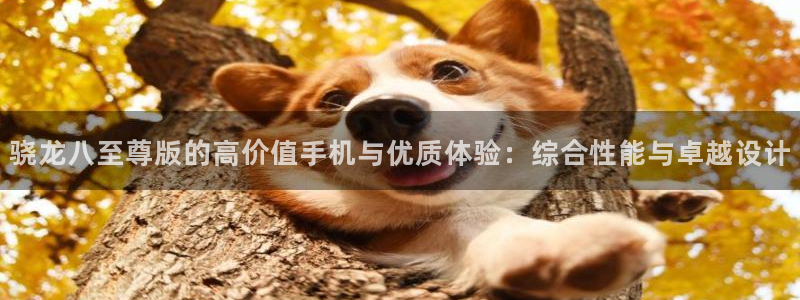 蓝狮娱乐官网下载：骁龙八至尊版的高价值手机与优质体验：综合性能与卓越设计