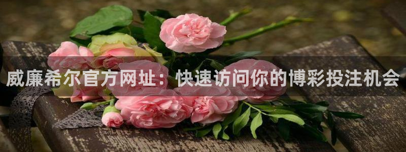 蓝狮娱乐官网：威廉希尔官方网址：快速访问你的博彩投注机会