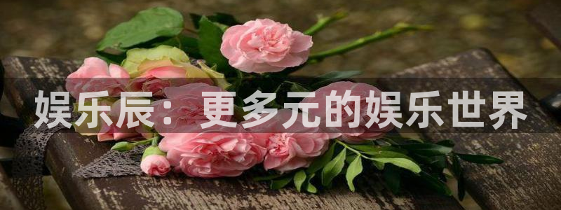蓝狮娱乐下载地址：娱乐辰：更多元的娱乐世界