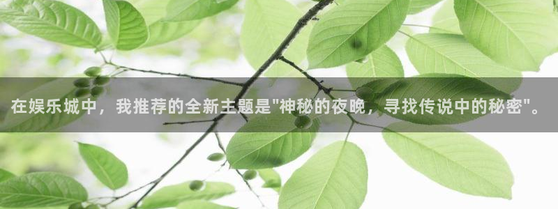 蓝狮娱乐注册网站app：在娱乐城中，我推荐的全新主题是\