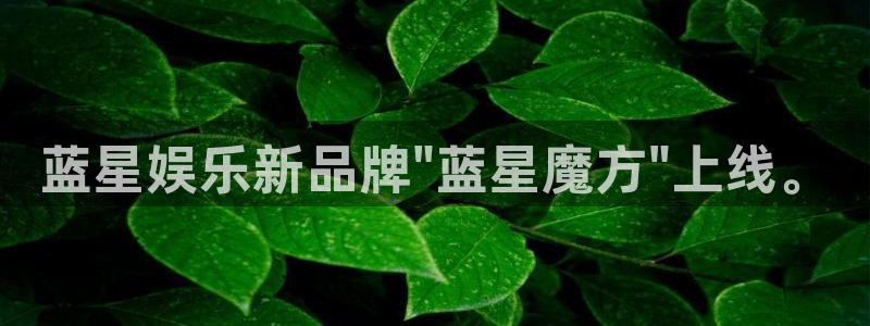 蓝狮娱乐集团股票：蓝星娱乐新品牌\