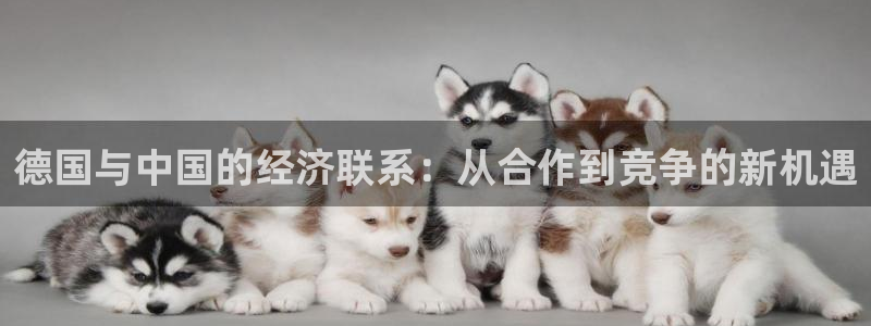 蓝狮娱乐quan28.cc：德国与中国的经济联系：从合作到竞争的新机遇