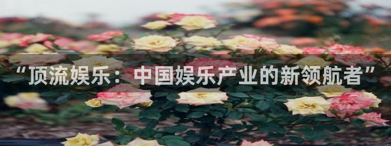 蓝狮娱乐下载入口：“顶流娱乐：中国娱乐产业的新领航者”