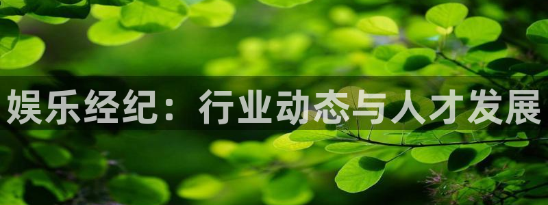 蓝狮娱乐体育注册平台：娱乐经纪：行业动态与人才发展