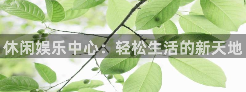 蓝狮娱乐是什么平台：休闲娱乐中心：轻松生活的新天地